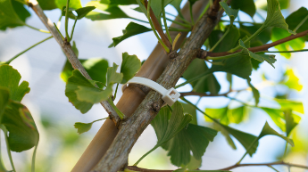 Biologiskt nedbrytbara buntband