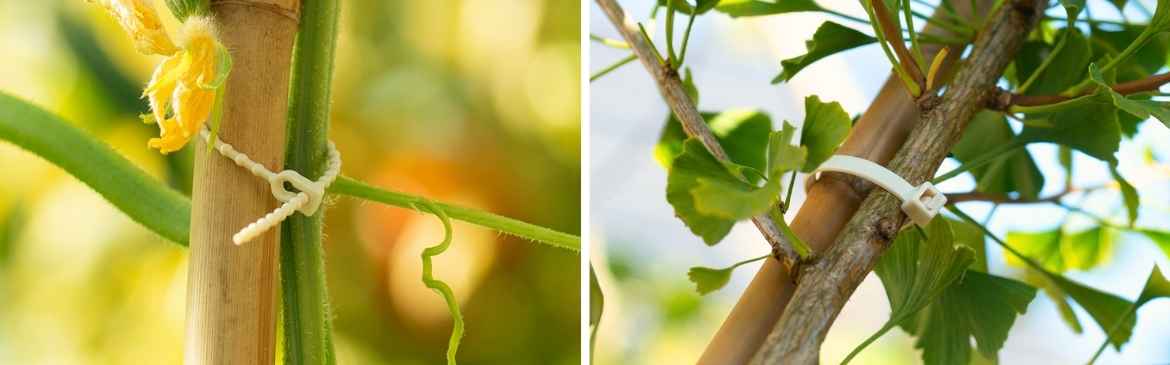 Biologiskt nedbrytbara buntband i återförslutningsbara och standardversioner